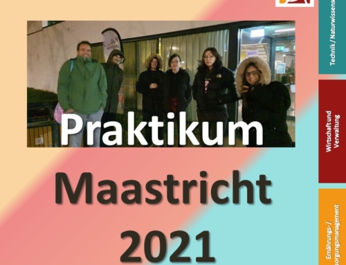Maastricht 2021: Auslandspraktikum unter Coronabedingungen mit Bravour gemeistert!